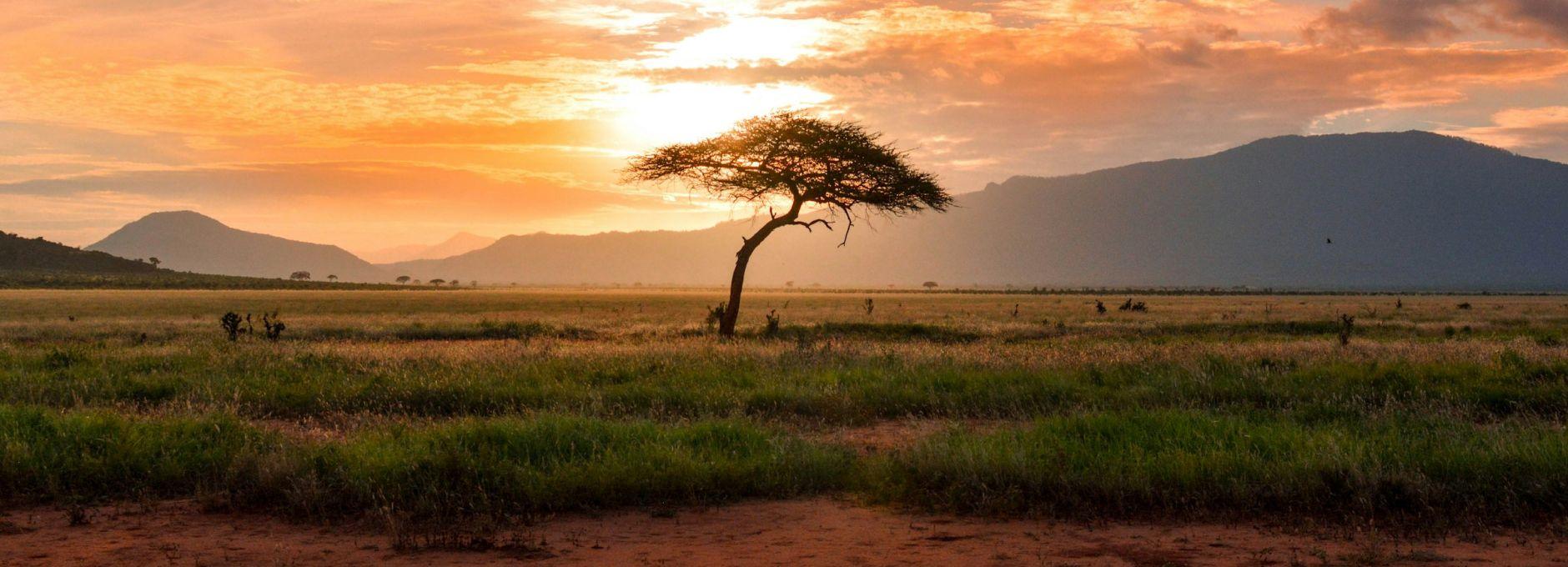 Landscape used as the backdrop for Terraviva Article 6 advisory