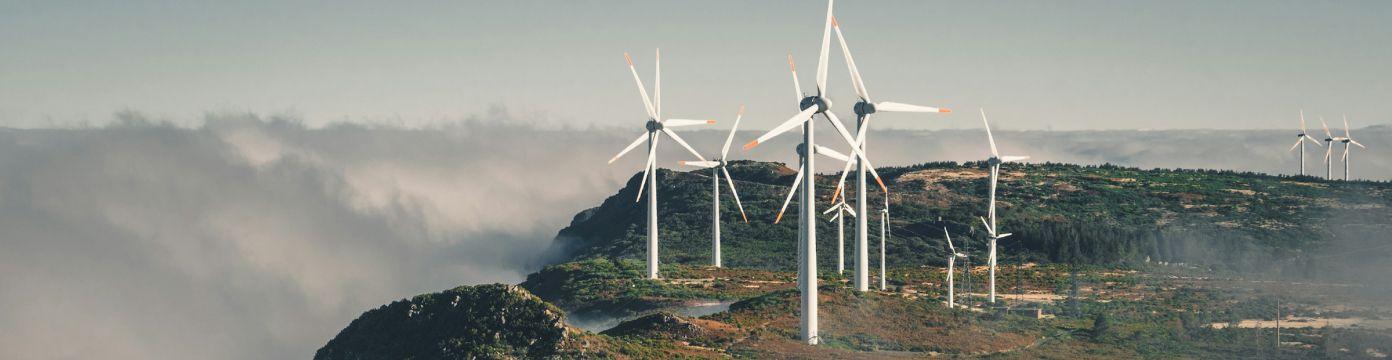 Aerial landscape introducing Terraviva Paris Agreement advisory